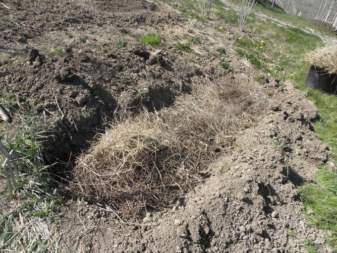 Riempimento della buca con rami e vegetali secchi